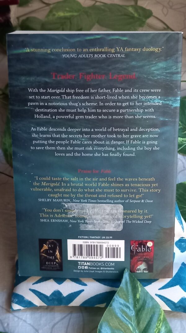 Namesake – Adrienne Young secondhand book