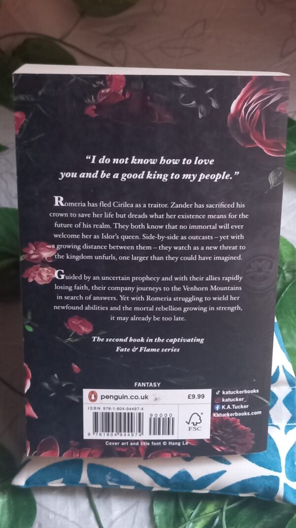 A Curse Of Blood & Stone – K.A. Tucker secondhand book