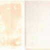 Blye Dae3 Die Blye Dae — Audrey Blignault secondhand book