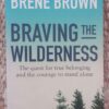 Braving The Wilderness — Brené Brown secondhand book