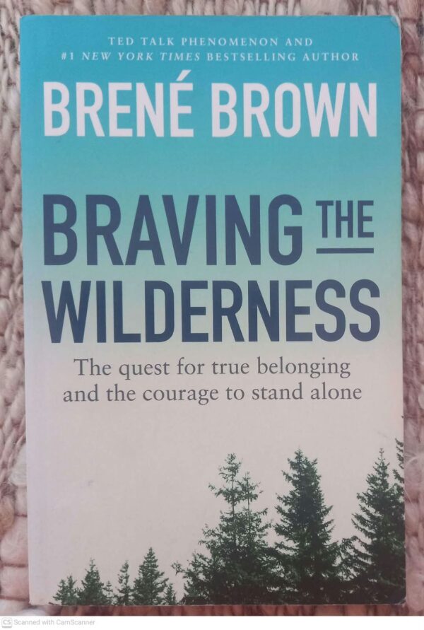 Braving The Wilderness — Brené Brown secondhand book