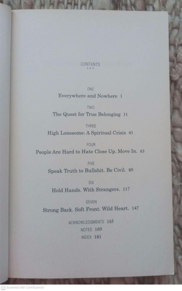 Braving The Wilderness — Brené Brown secondhand book
