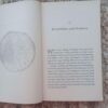 Braving The Wilderness — Brené Brown secondhand book