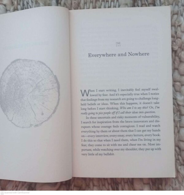 Braving The Wilderness — Brené Brown secondhand book