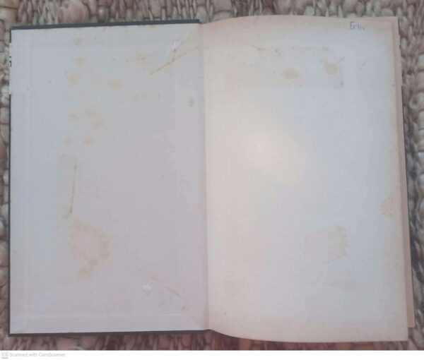 Een Bruid In De Morgen — Hugo Claus (Dutch) secondhand book