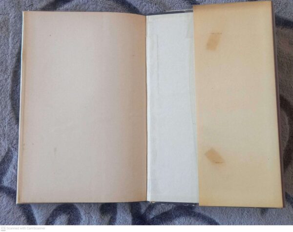 Die Engele Swyg — Maudie Shackleford secondhand book