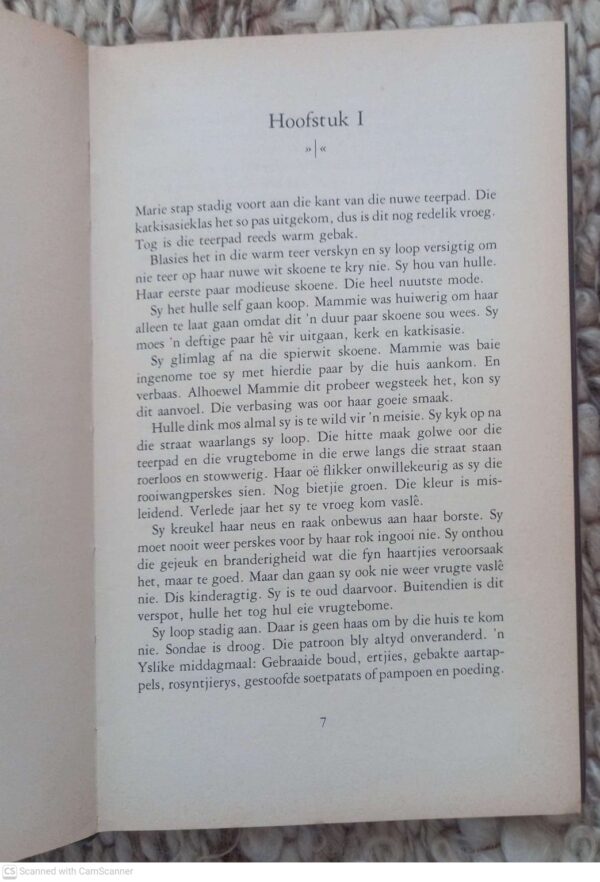 Die Engele Swyg — Maudie Shackleford secondhand book
