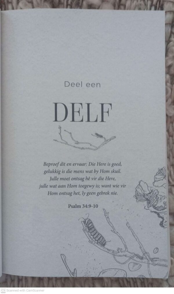 ‘n Ewige Kroon: Jy Is Meer As Wat Jy Glo — Demi-Leigh Tebow secondhand book