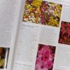 Grondbeginsels Van Tuinmaak: Vra Vir Kristo – Kristo Pienaar secondhand book