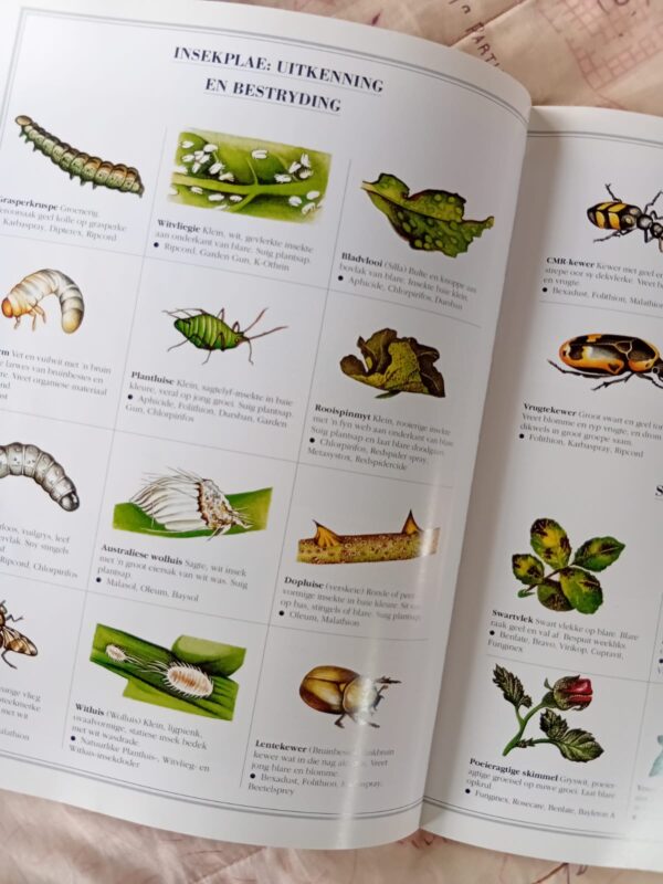 Grondbeginsels Van Tuinmaak: Vra Vir Kristo – Kristo Pienaar secondhand book