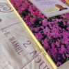 Grondbeginsels Van Tuinmaak: Vra Vir Kristo – Kristo Pienaar secondhand book