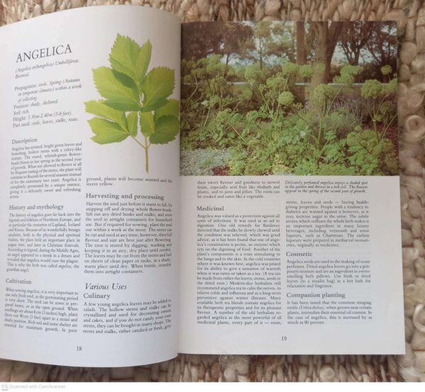 Herbs: Their Cultivation And Usage — John Hemphill, Rosemary Hemphill secondhand book