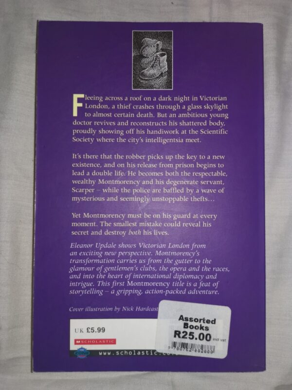 Montmorency: Thief, Liar, Gentleman? – Eleanor Updale secondhand book