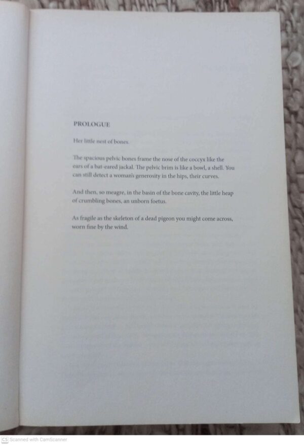 In Love’s Place — Etienne Van Heerden secondhand book