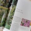 Jaarplante & Meerjariges – Jennifer Godbold-Simpson secondhand book