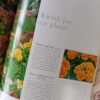 Jaarplante & Meerjariges – Jennifer Godbold-Simpson secondhand book