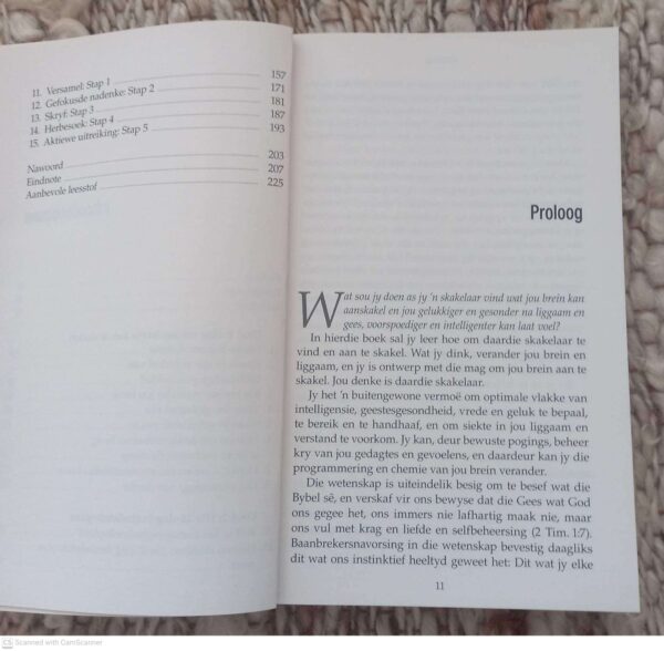 Kopskuif5 Maak ‘n Kopskuif — Caroline Leaf secondhand book