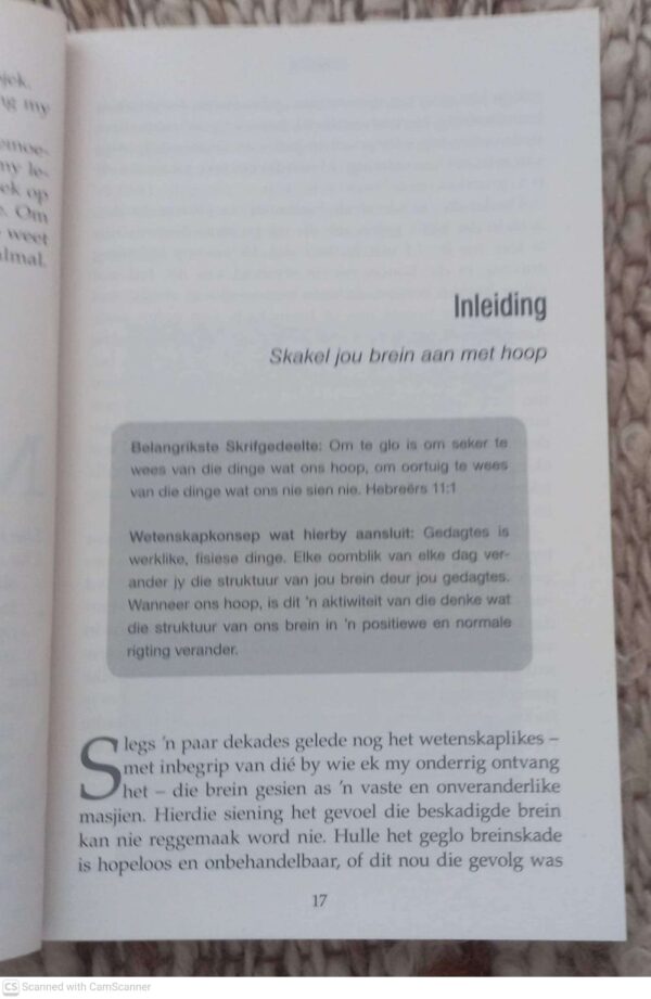Kopskuif6 Maak ‘n Kopskuif — Caroline Leaf secondhand book