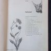 Natuurerfenis — Douglas Hey secondhand book