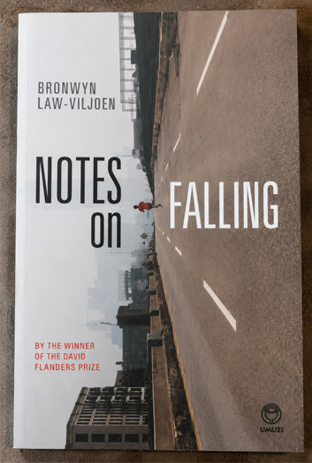Notes on Falling - Bronwyn Law-Viljoen