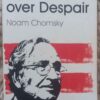 Optimism Over Despair — Noam Chomsky secondhand book