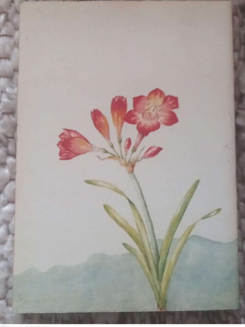 Outeniekwa Tsitsikamma & Oostelike Klein-Karoo: Veldblomgids Van Suid-Afrika 2 — Audrey Moriarty secondhand book