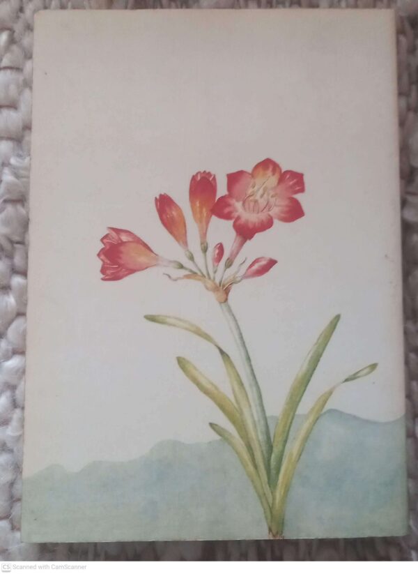 Outeniekwa Tsitsikamma & Oostelike Klein-Karoo: Veldblomgids Van Suid-Afrika 2 — Audrey Moriarty secondhand book