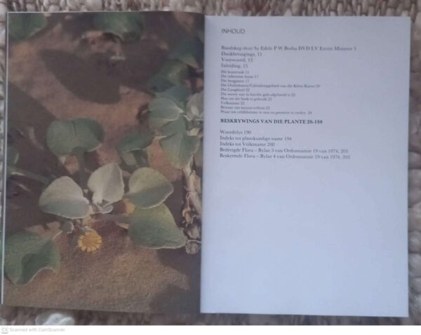 Outeniekwa Tsitsikamma & Oostelike Klein-Karoo: Veldblomgids Van Suid-Afrika 2 — Audrey Moriarty secondhand book