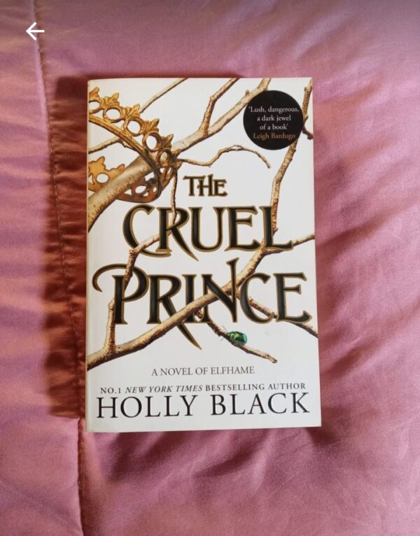 The Cruel Prince – Holly Black secondhand book