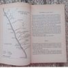 Silwer, Jakkals Van Die Namib — Pieter Pietersen secondhand book