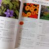 A Grower’s Guide To Annuals – Margaret Hanks secondhand book