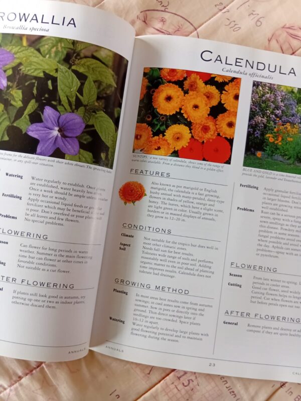 A Grower’s Guide To Annuals – Margaret Hanks secondhand book