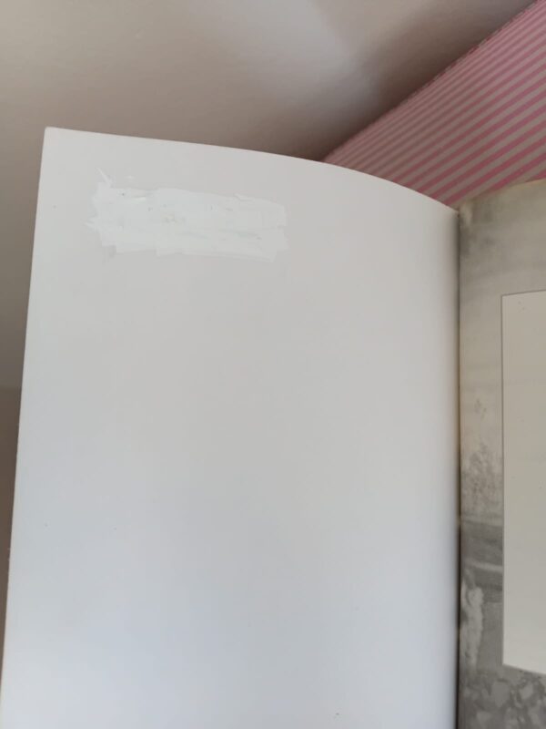 Leota’s Garden – Francine Rivers secondhand book