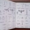 WhatsApp Image 2026-08-26 at 16.19.06 (1) Field Guide To The Insects Of South Africa – Mike Picker Et Al. secondhand book