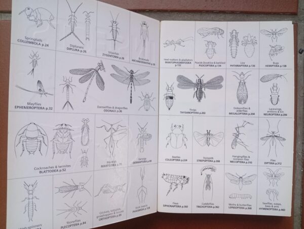 WhatsApp Image 2026-08-26 at 16.19.06 (1) Field Guide To The Insects Of South Africa – Mike Picker Et Al. secondhand book