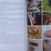 WhatsApp Image 2026-08-26 at 16.19.06 (3) Field Guide To The Insects Of South Africa – Mike Picker Et Al. secondhand book