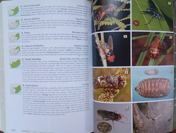 WhatsApp Image 2026-08-26 at 16.19.06 (3) Field Guide To The Insects Of South Africa – Mike Picker Et Al. secondhand book
