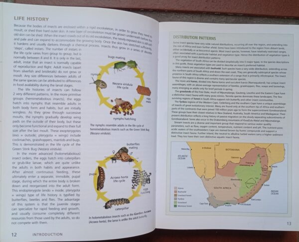 WhatsApp Image 2026-08-26 at 16.19.06 (4) Field Guide To The Insects Of South Africa – Mike Picker Et Al. secondhand book