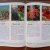 Gardening With Indigenous Trees – David, Sally Johnson secondhand book