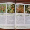 Gardening With Indigenous Trees – David, Sally Johnson secondhand book