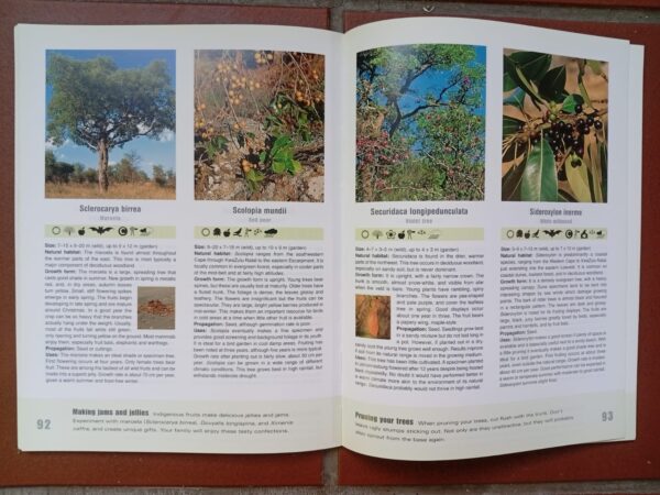 Gardening With Indigenous Trees – David, Sally Johnson secondhand book