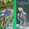 A Guide To The Fauna Of Zimbali – Geoff Nichols, Thomas Ferreira secondhand book