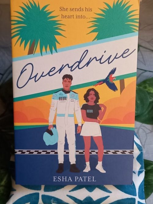 Overdrive – Esha Patel secondhand book