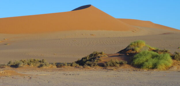 Namib-Dust