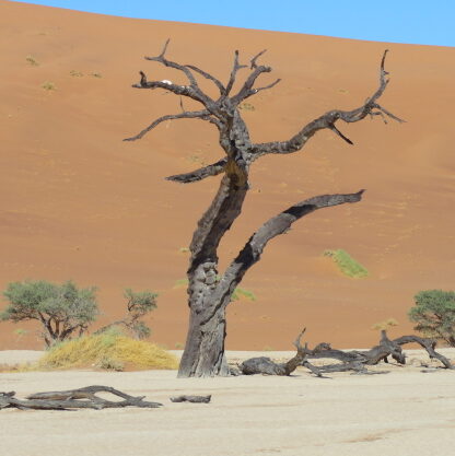 Namib-Dust