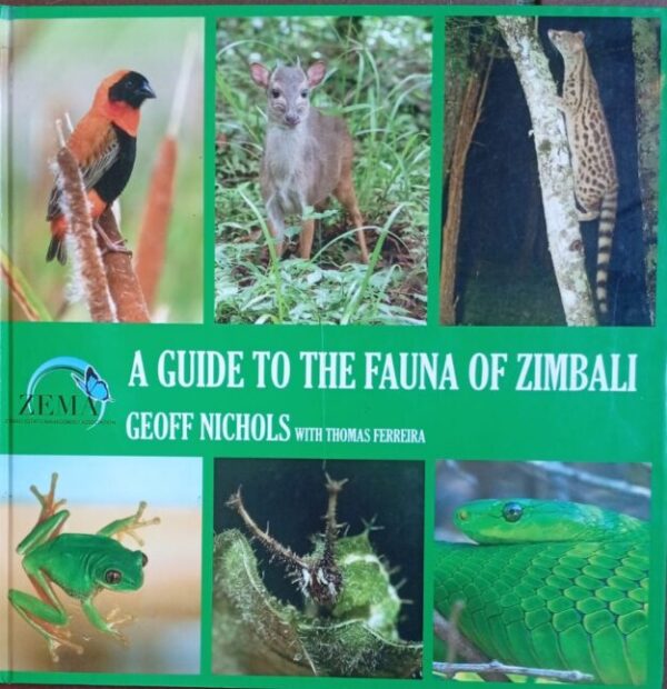 A Guide To The Fauna Of Zimbali – Geoff Nichols, Thomas Ferreira secondhand book