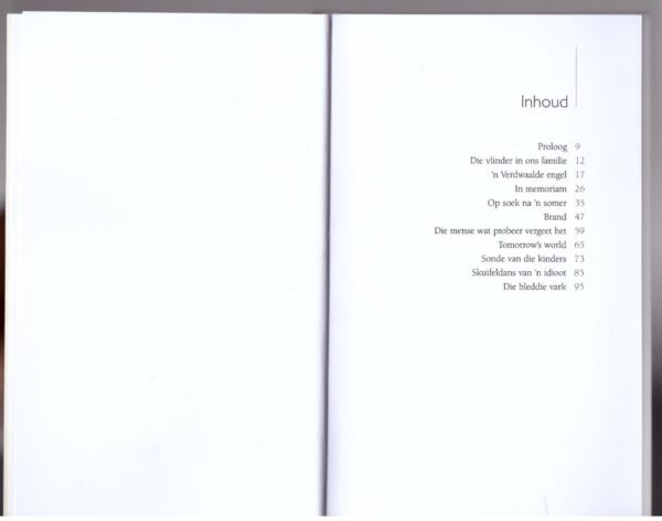 Die Lewe Is ‘n Halwe Roman — S. P. Benjamin secondhand book