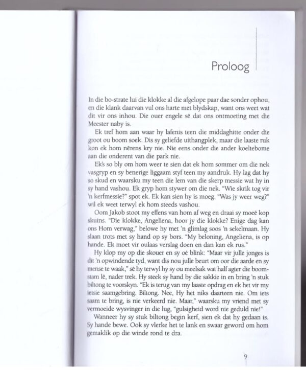Die Lewe Is ‘n Halwe Roman — S. P. Benjamin secondhand book