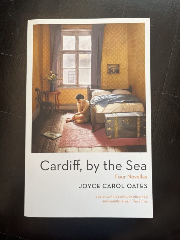 Cardiff, By The Sea – Joyce Carol Oates secondhand book