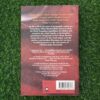 The Wind Singer – William Nicholson secondhand book